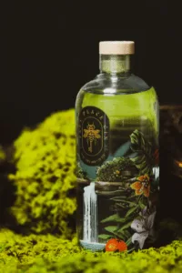 Pack Safe Place Gin – Edição Especial Montanhas do Norte